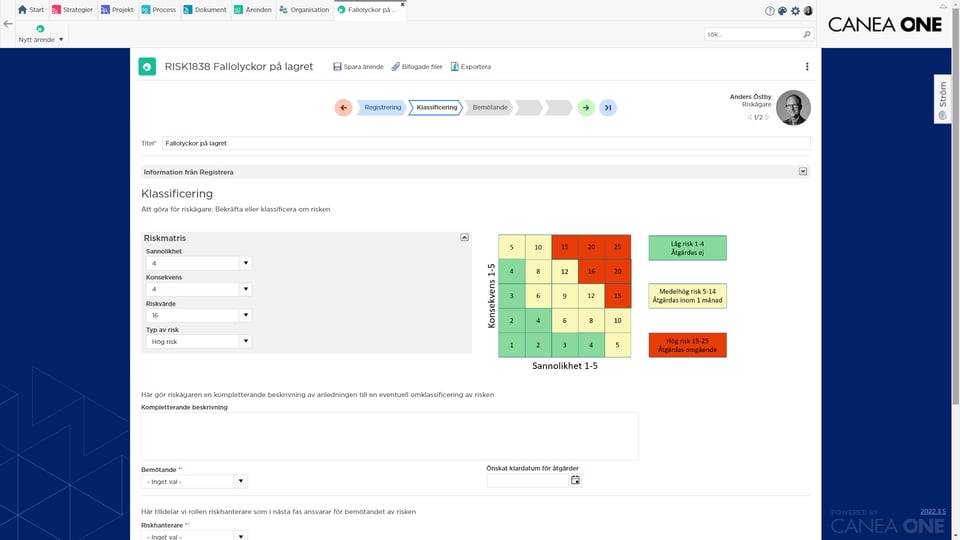 Mini Risk Risk management, risk management tools | CANEA