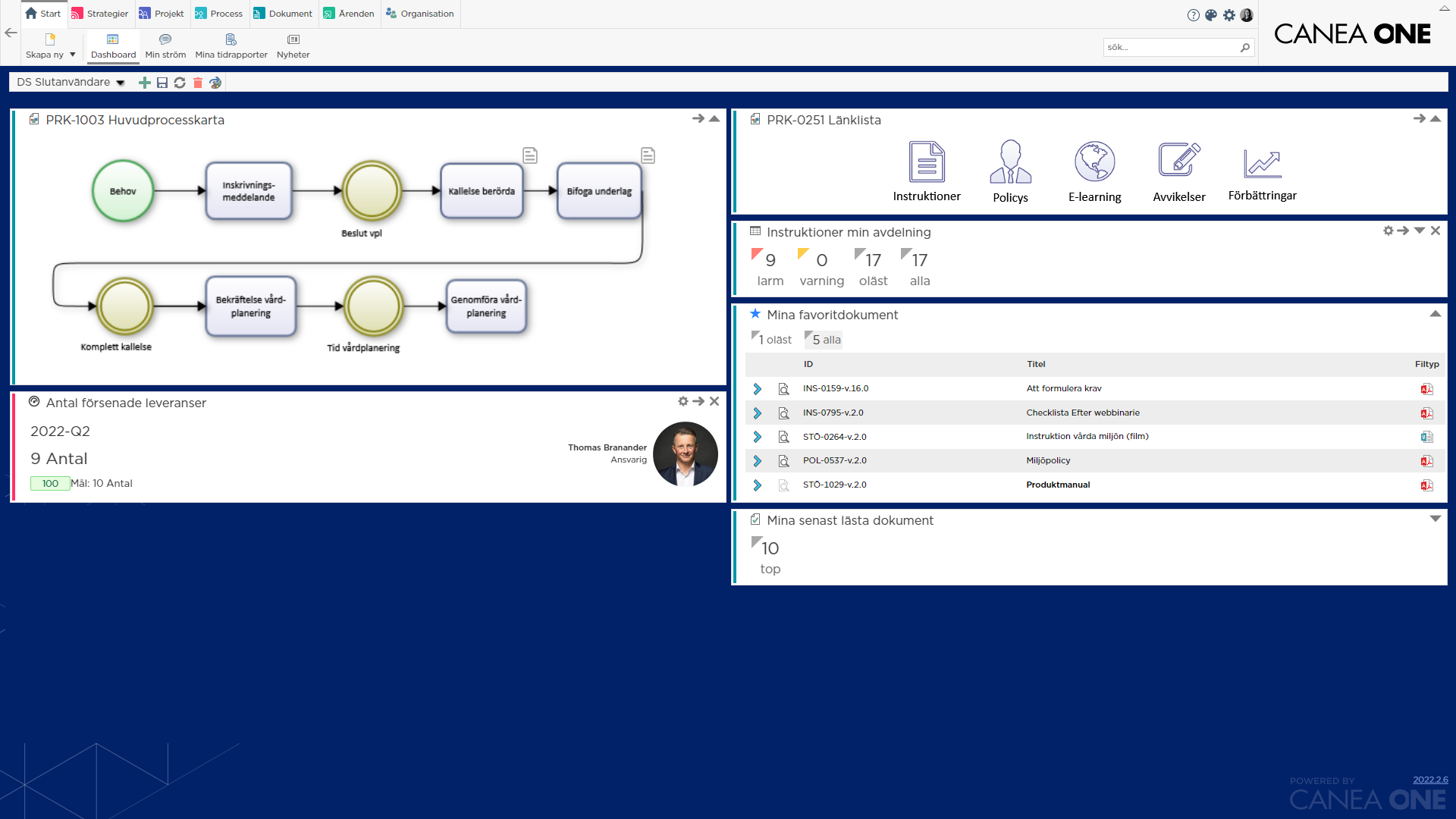 Vardomsorg arbeta processorienterat