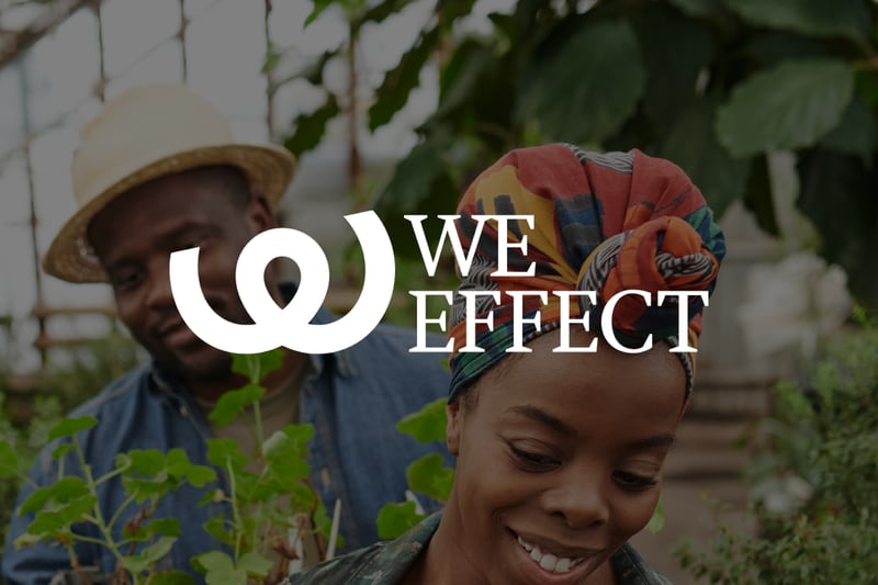 How We Effect ensured employees' access to the latest policy documents