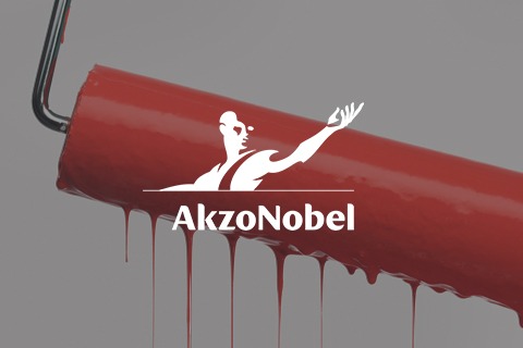 AkzoNobel creates operational excellence using CANEA